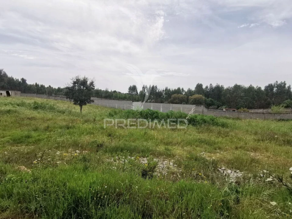 Terreno para Venda em Vila Nova da Barquinha Foto 13