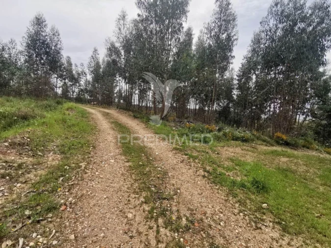 Terreno para Venda em Vila Nova da Barquinha Foto 3