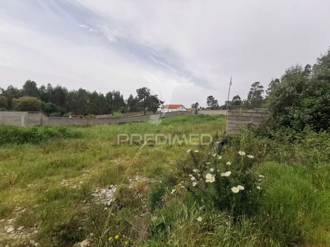 Terreno para Venda em Vila Nova da Barquinha Foto 14