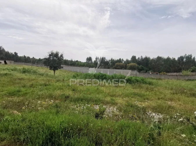 Terreno para Venda em Vila Nova da Barquinha Foto 13