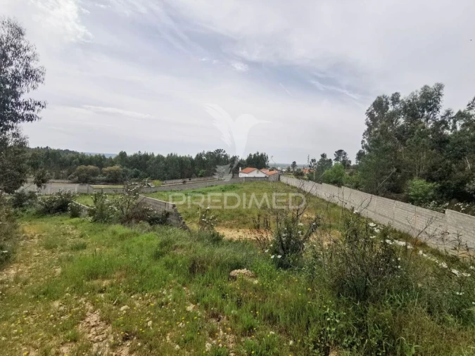 Terreno para Venda em Vila Nova da Barquinha Foto 8