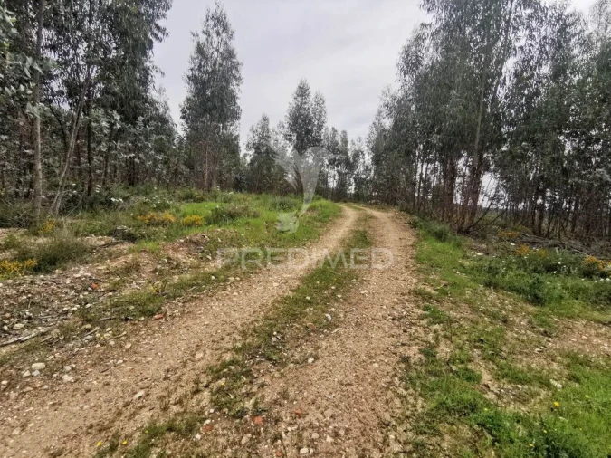 Terreno para Venda em Vila Nova da Barquinha Foto 2
