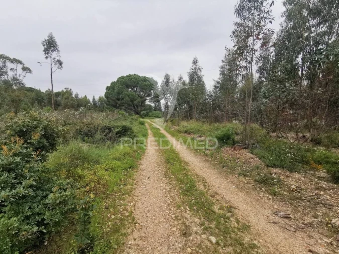 Terreno para Venda em Vila Nova da Barquinha