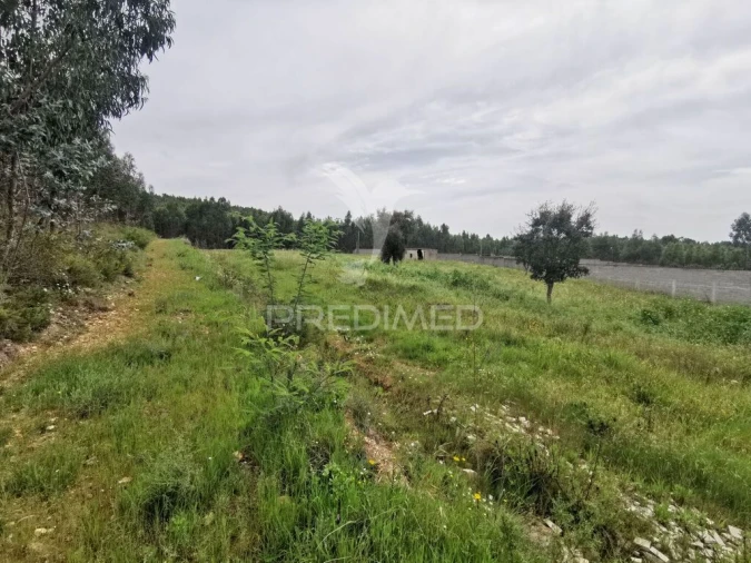 Terreno para Venda em Vila Nova da Barquinha Foto 18