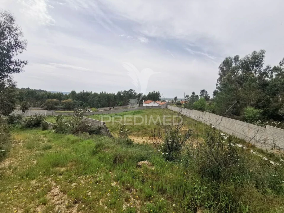 Terreno para Venda em Vila Nova da Barquinha Foto 8