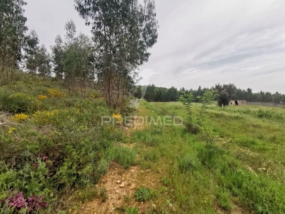 Terreno para Venda em Vila Nova da Barquinha Foto 10