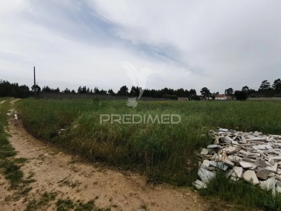 Terreno para Venda em Vila Nova da Barquinha Foto 20