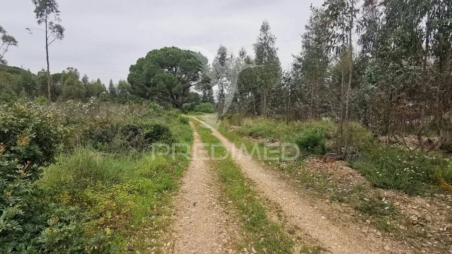 Terreno para Venda em Vila Nova da Barquinha