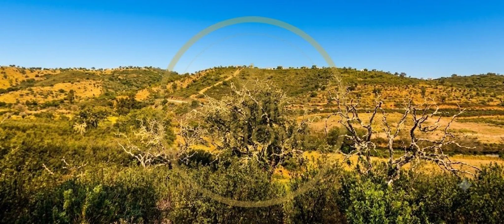 Terreno para Venda em Ameixial Foto 1