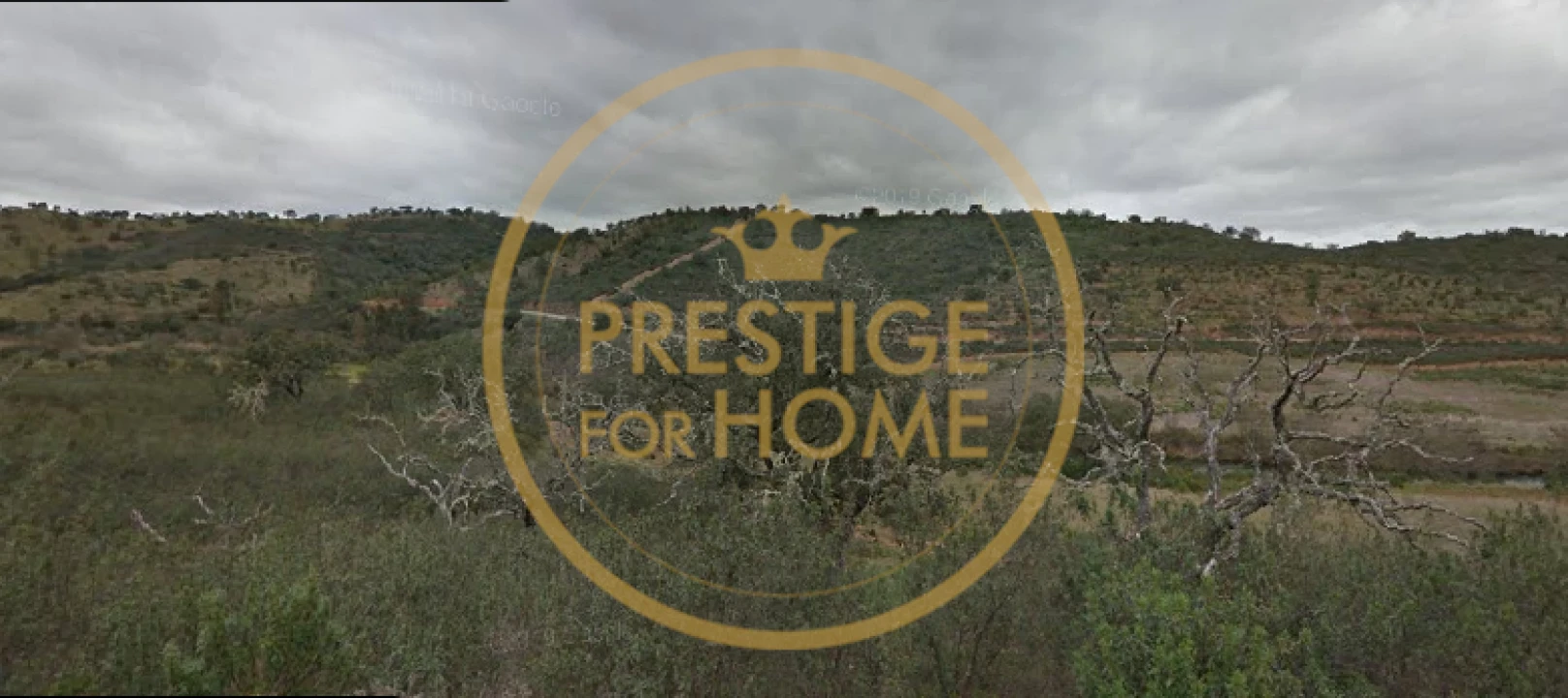 Terreno para Venda em Ameixial Foto 1