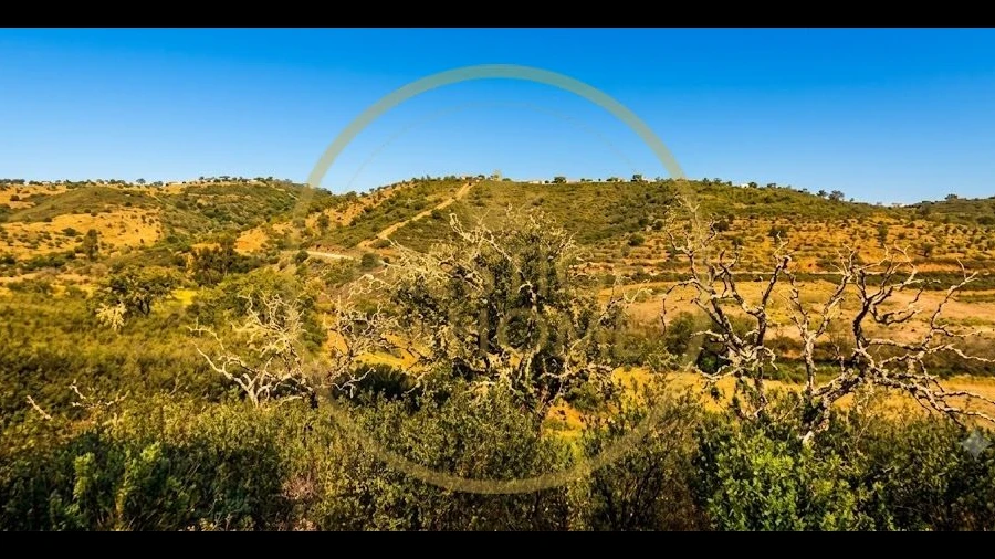 Terreno para Venda em Ameixial