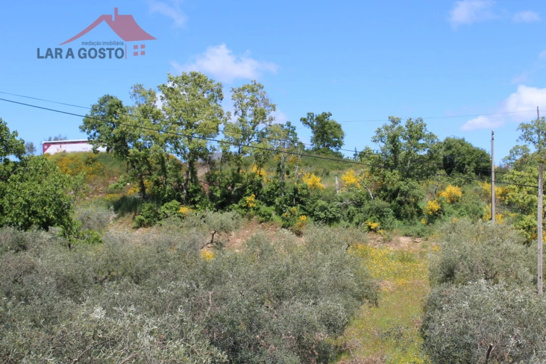 Terreno para Venda em Vale de Prados Foto 9