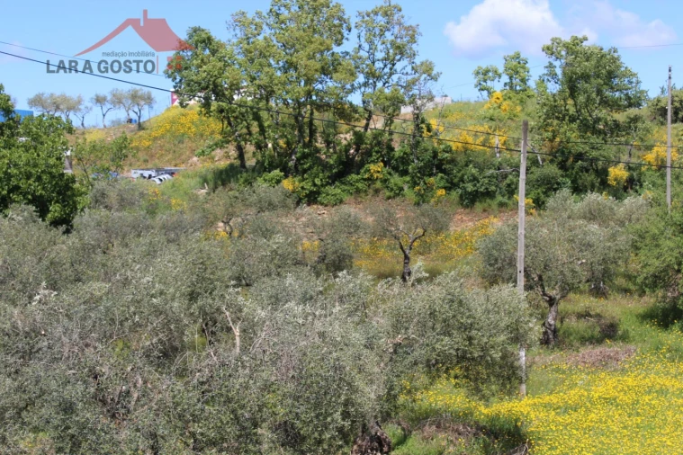 Terreno para Venda em Vale de Prados Foto 10
