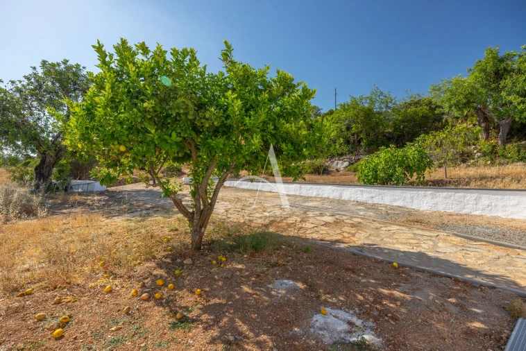 Moradia T3 para Venda em Faro (Sé e São Pedro) Foto 25