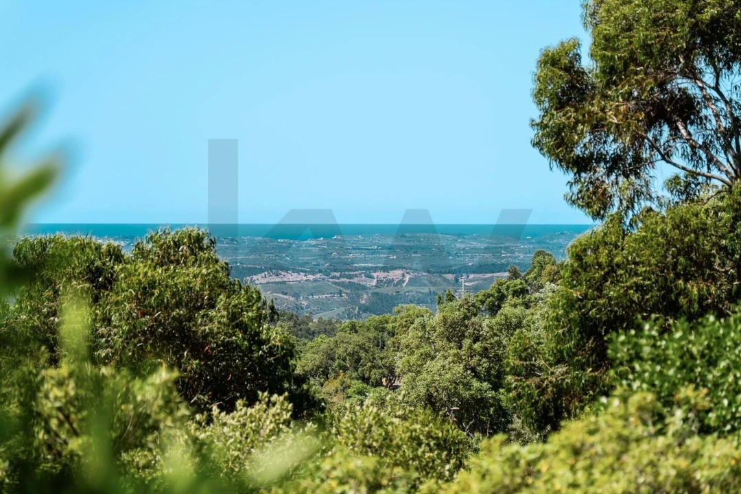 Quinta T3 para Venda em Monchique Foto 18