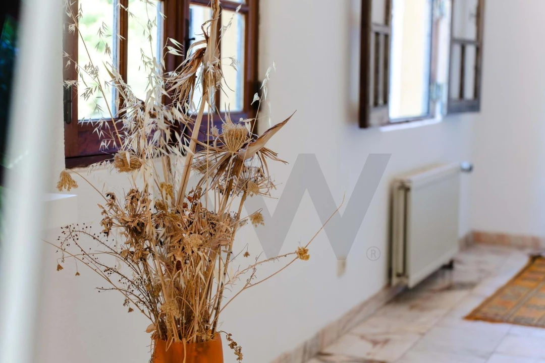 Quinta T3 para Venda em Monchique Foto 37