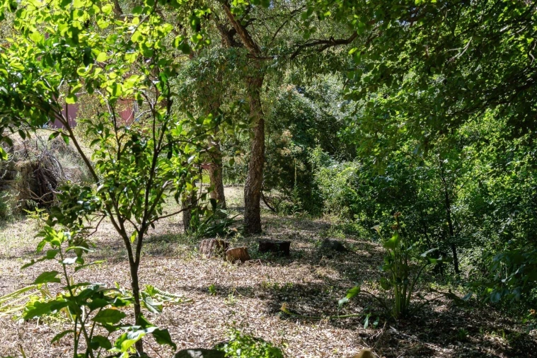 Quinta T3 para Venda em Monchique Foto 16