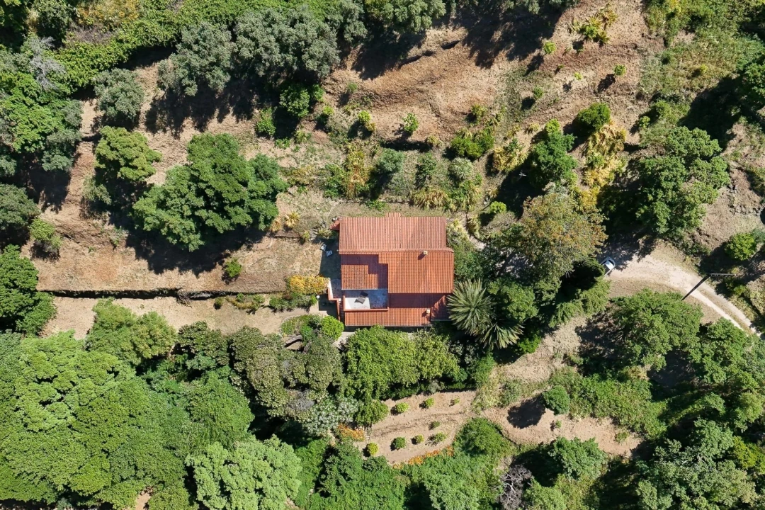 Quinta T3 para Venda em Monchique Foto 9