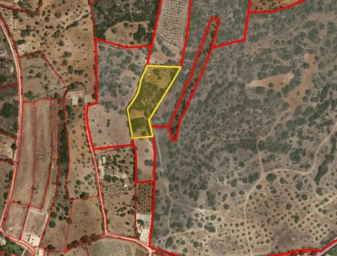 Terreno para Venda em Silves Foto 3