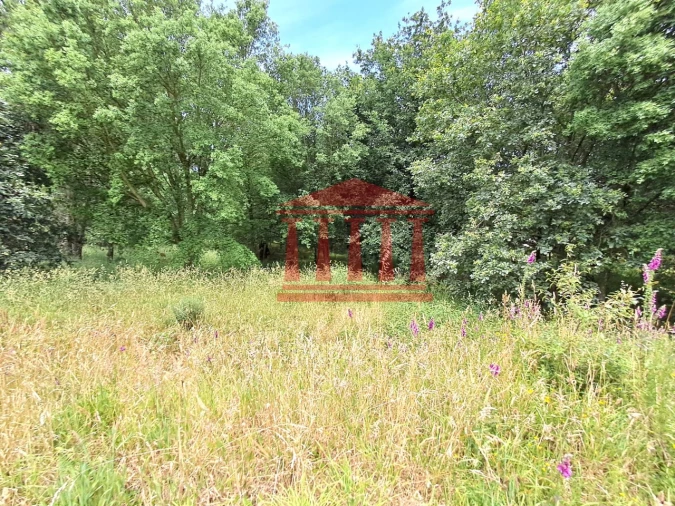 Terreno para Venda em Gilmonde Foto 14