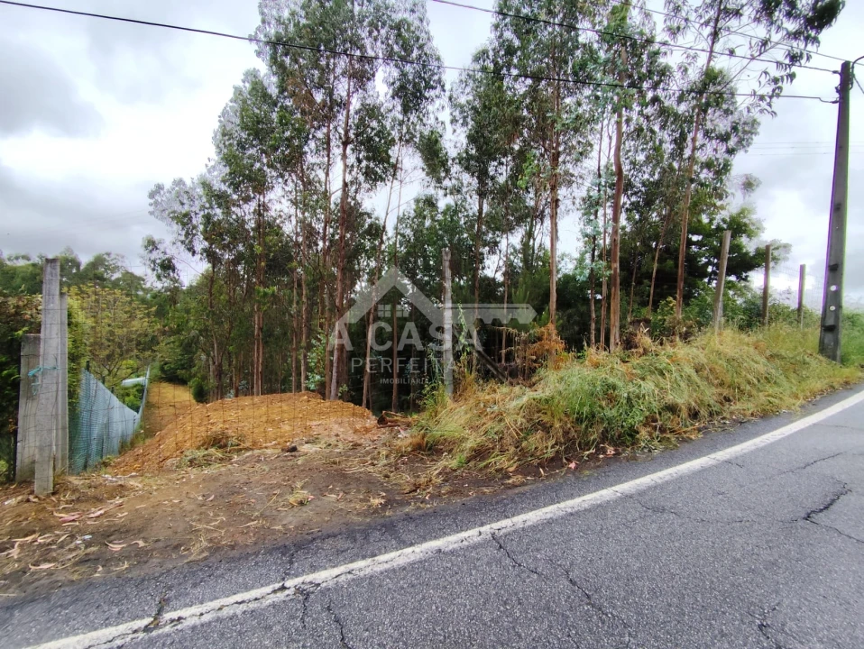 Terreno para Venda em Lobão, Gião, Louredo e Guisande Foto 1
