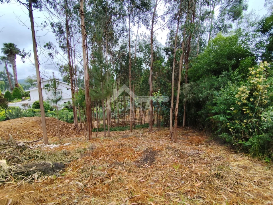 Terreno para Venda em Lobão, Gião, Louredo e Guisande Foto 3