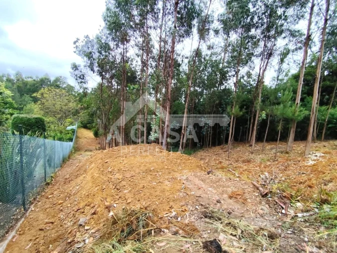 Terreno para Venda em Lobão, Gião, Louredo e Guisande Foto 2