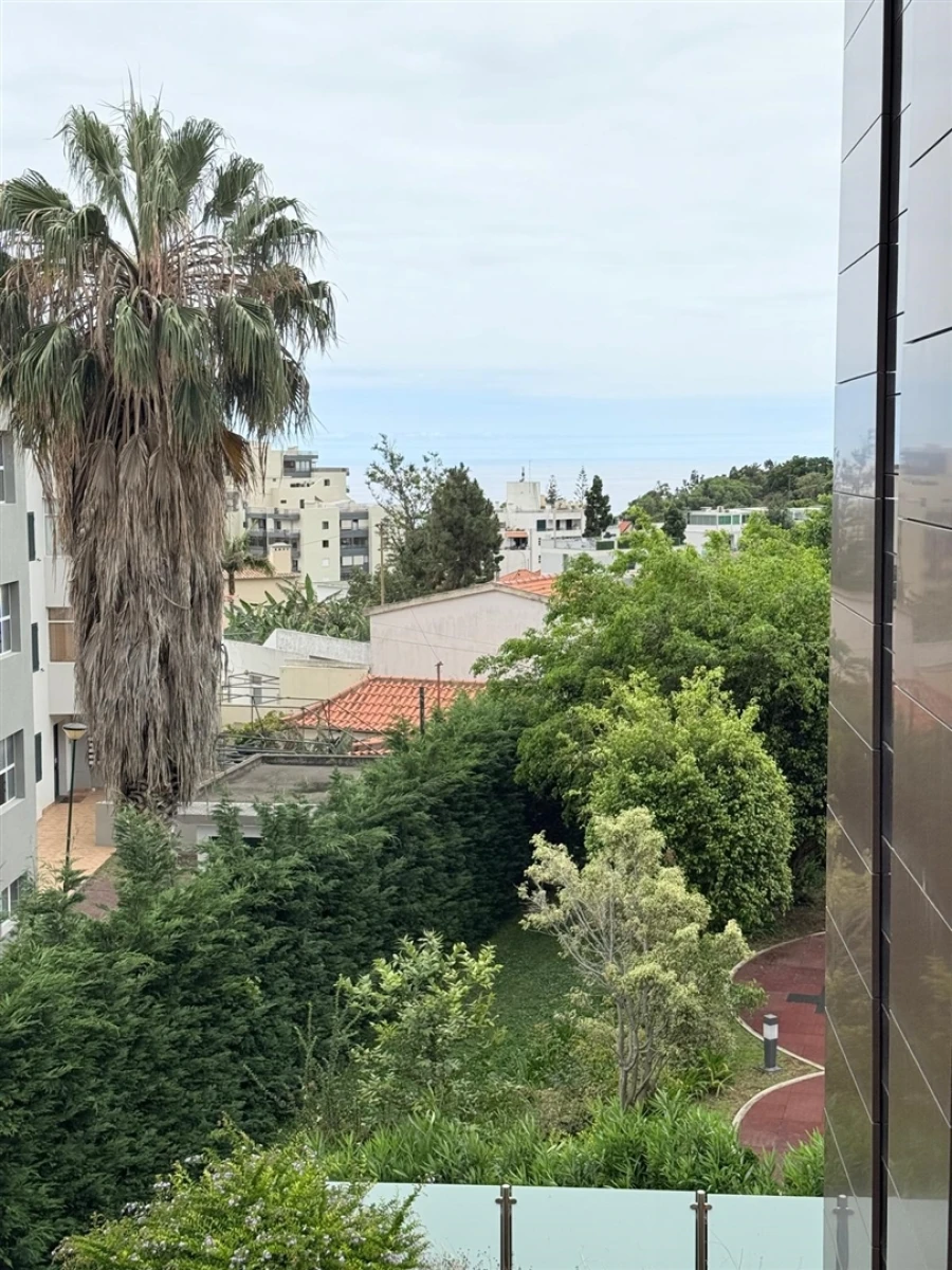 Apartamento T3 para Venda em São Martinho Foto 39