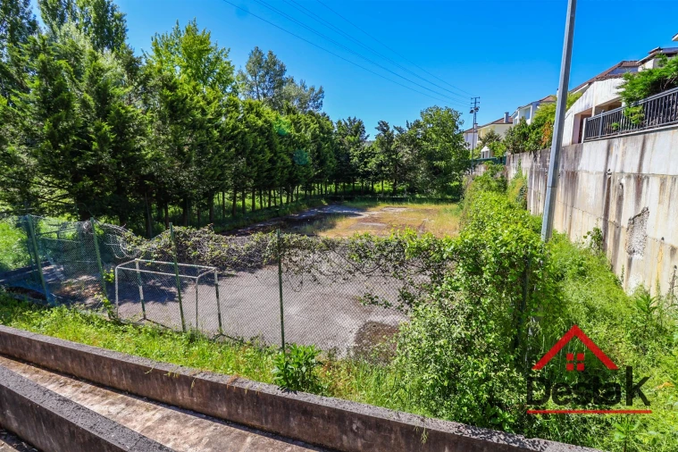 Negócio para Venda em Satão Foto 35