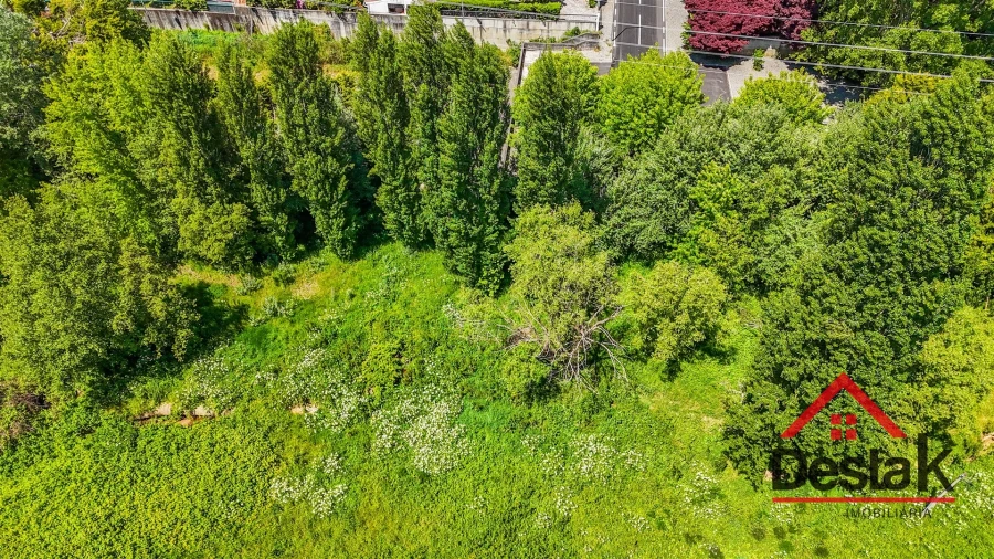 Negócio para Venda em Satão Foto 36