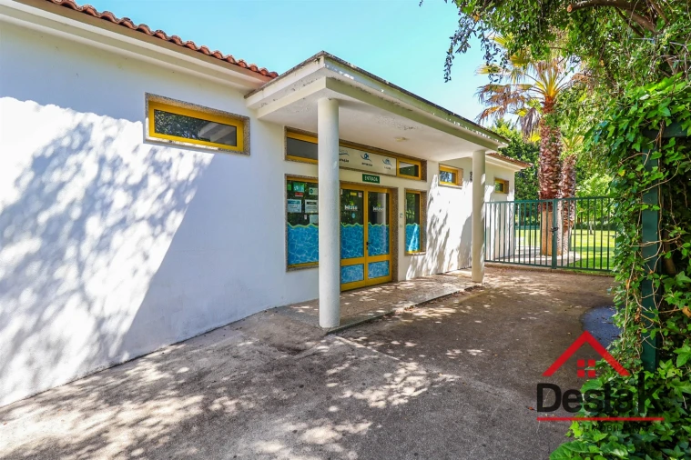 Negócio para Venda em Satão Foto 25