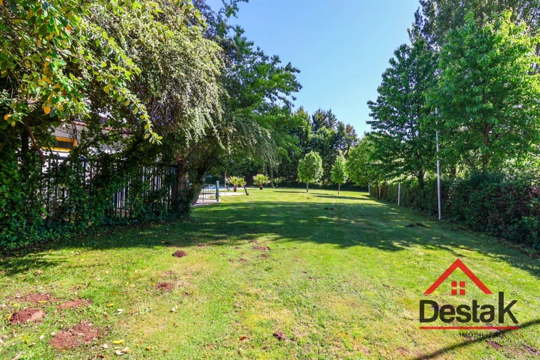 Negócio para Venda em Satão Foto 13