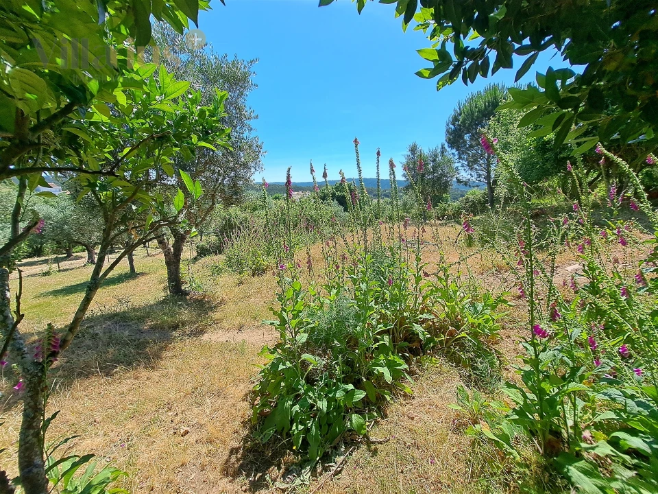 Terreno para Venda em Casais e Alviobeira Foto 23