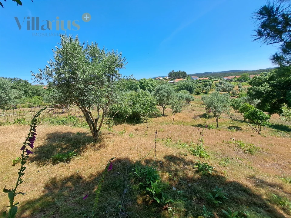 Terreno para Venda em Casais e Alviobeira Foto 6