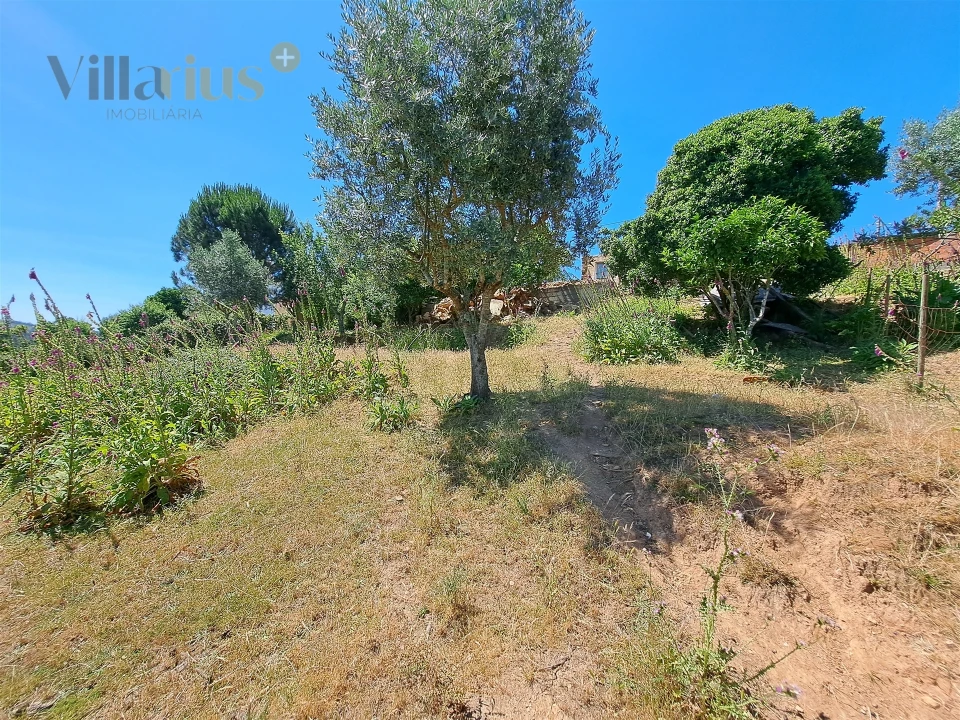 Terreno para Venda em Casais e Alviobeira Foto 22