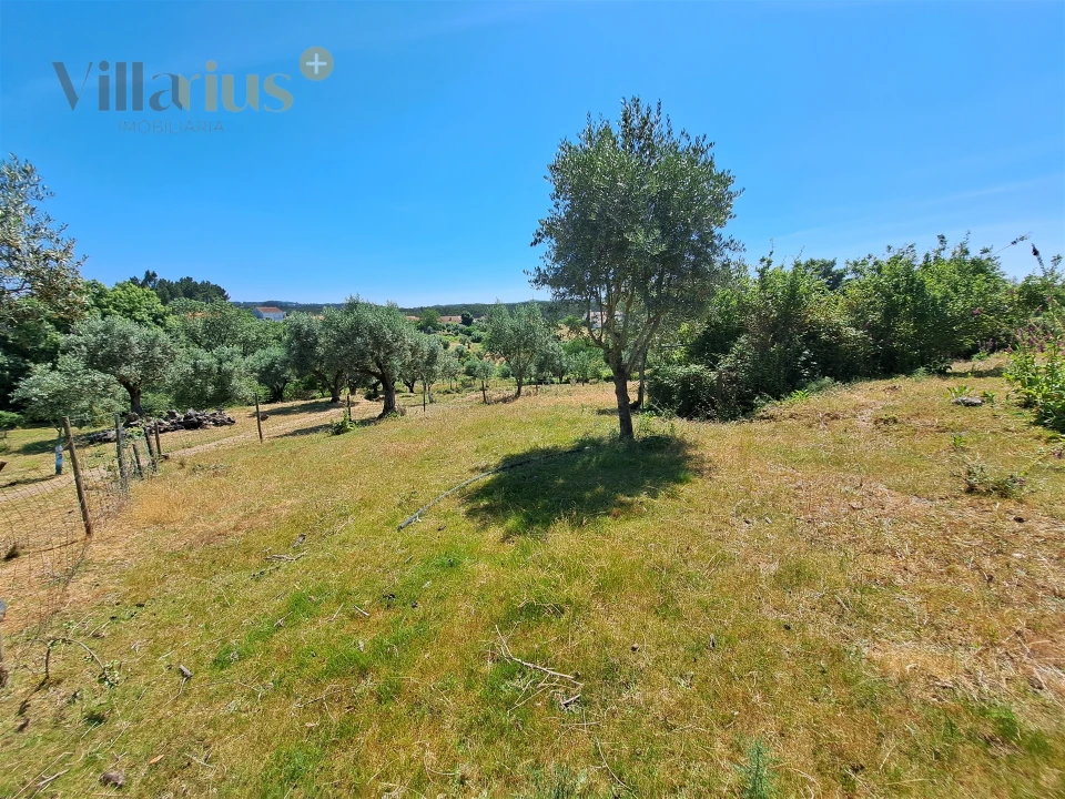 Terreno para Venda em Casais e Alviobeira Foto 20