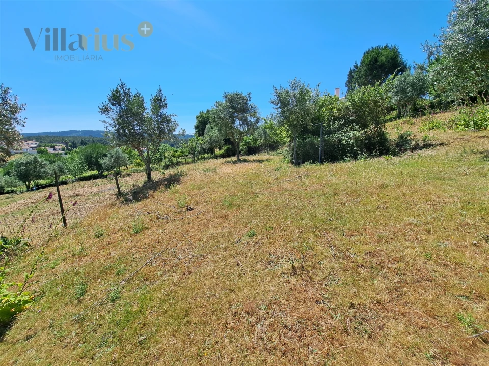 Terreno para Venda em Casais e Alviobeira Foto 18