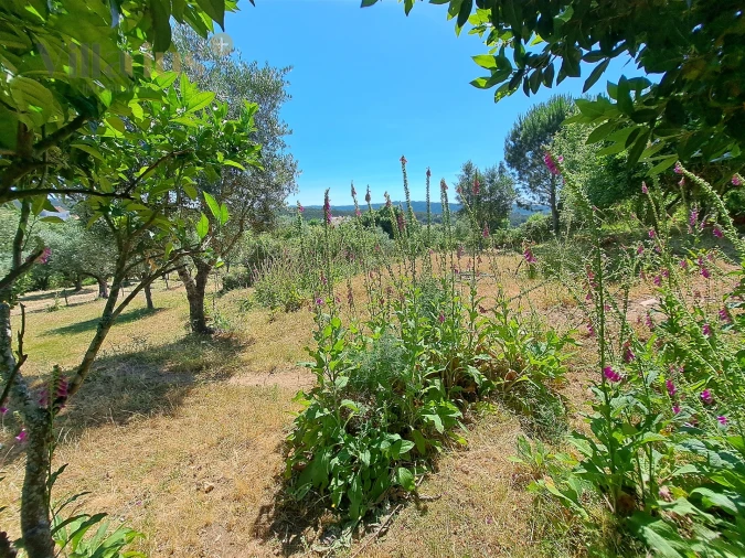 Terreno para Venda em Casais e Alviobeira Foto 23