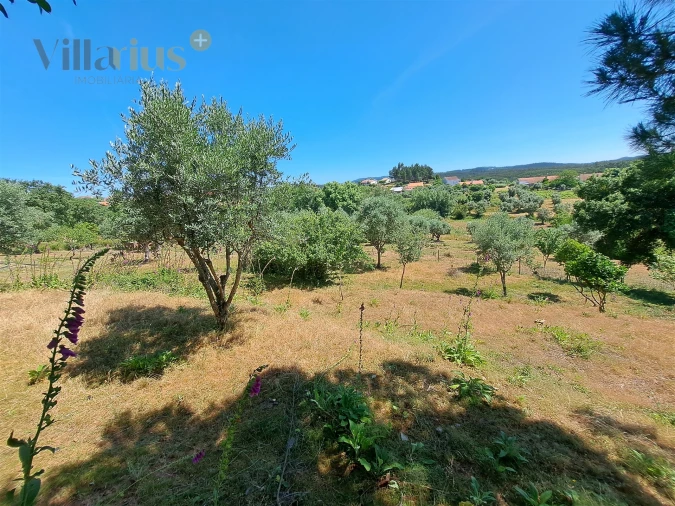 Terreno para Venda em Casais e Alviobeira Foto 6