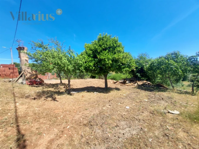 Terreno para Venda em Casais e Alviobeira Foto 35