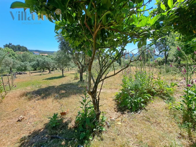 Terreno para Venda em Casais e Alviobeira Foto 5
