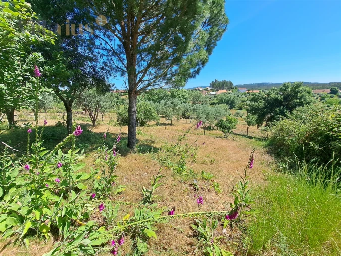 Terreno para Venda em Casais e Alviobeira Foto 24