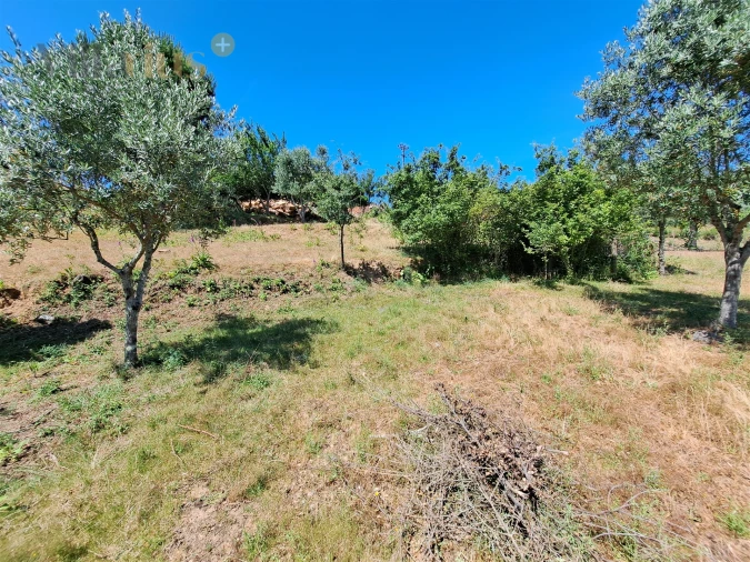 Terreno para Venda em Casais e Alviobeira Foto 15