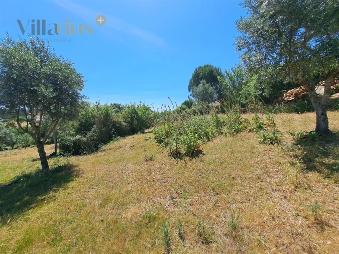 Terreno para Venda em Casais e Alviobeira Foto 21