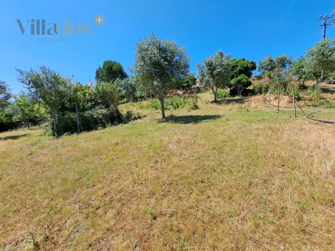 Terreno para Venda em Casais e Alviobeira Foto 19