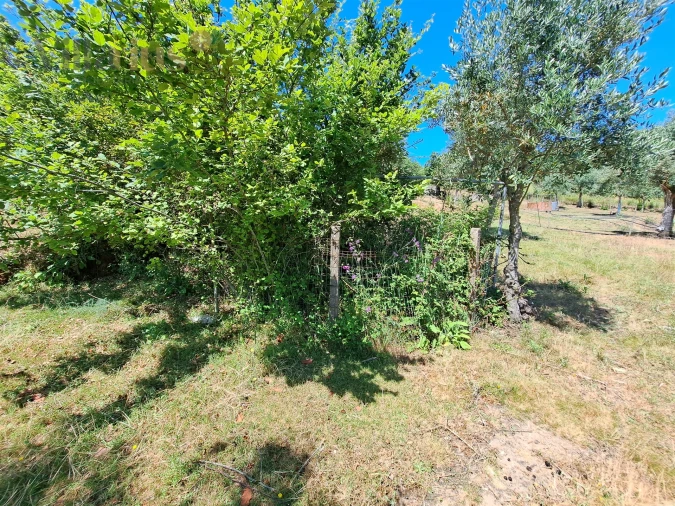 Terreno para Venda em Casais e Alviobeira Foto 7