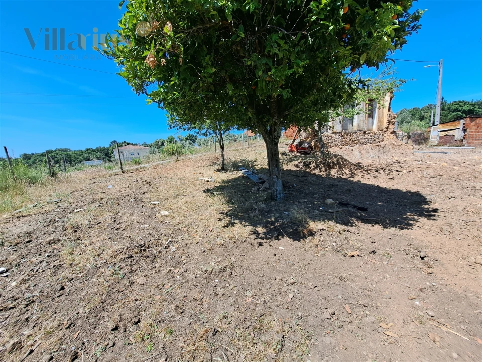 Terreno para Venda em Casais e Alviobeira Foto 12