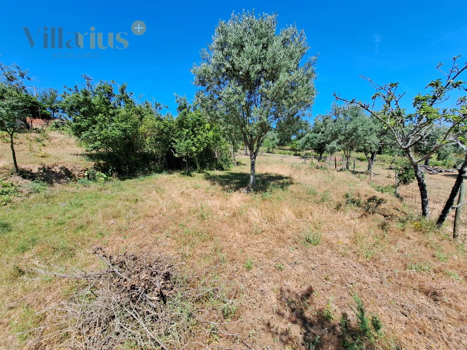 Terreno para Venda em Casais e Alviobeira Foto 16