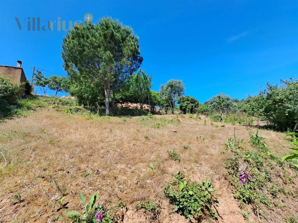 Terreno para Venda em Casais e Alviobeira Foto 17