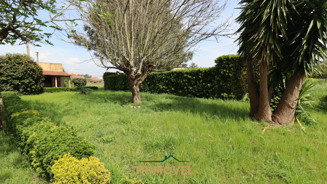 Moradia T3 para Venda em Beduído e Veiros Foto 20